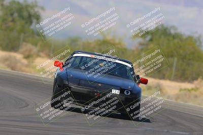 media/Oct-14-2023-Lucky Dog Racing (Sat) [[cef75db616]]/1st Stint Turn 7/